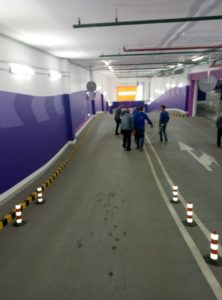 petrovski 2